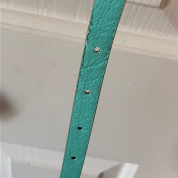 Skinny Belt - Picture 3 of 4